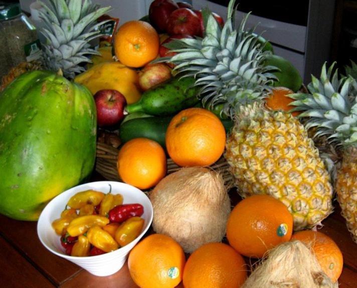 Waiyevo Aroha Taveuni Beachfront Bures מראה חיצוני תמונה
